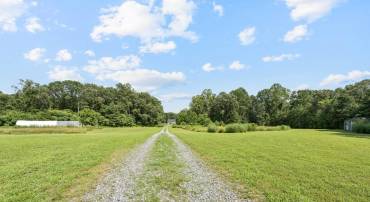 18167 LOCUST GROVE RD, BOWLING GREEN, Virginia 22427, 4 Bedrooms Bedrooms, ,2 BathroomsBathrooms,Residential,For sale,18167 LOCUST GROVE RD,VACV2008514 MLS # VACV2008514