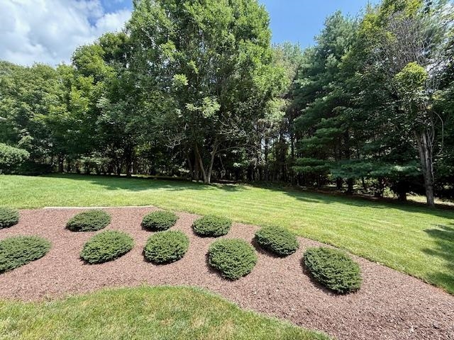 201 OAK RIDGE DR, STAUNTON, Virginia 24401, 3 Bedrooms Bedrooms, ,2 BathroomsBathrooms,Residential,201 OAK RIDGE DR,667029 MLS # 667029