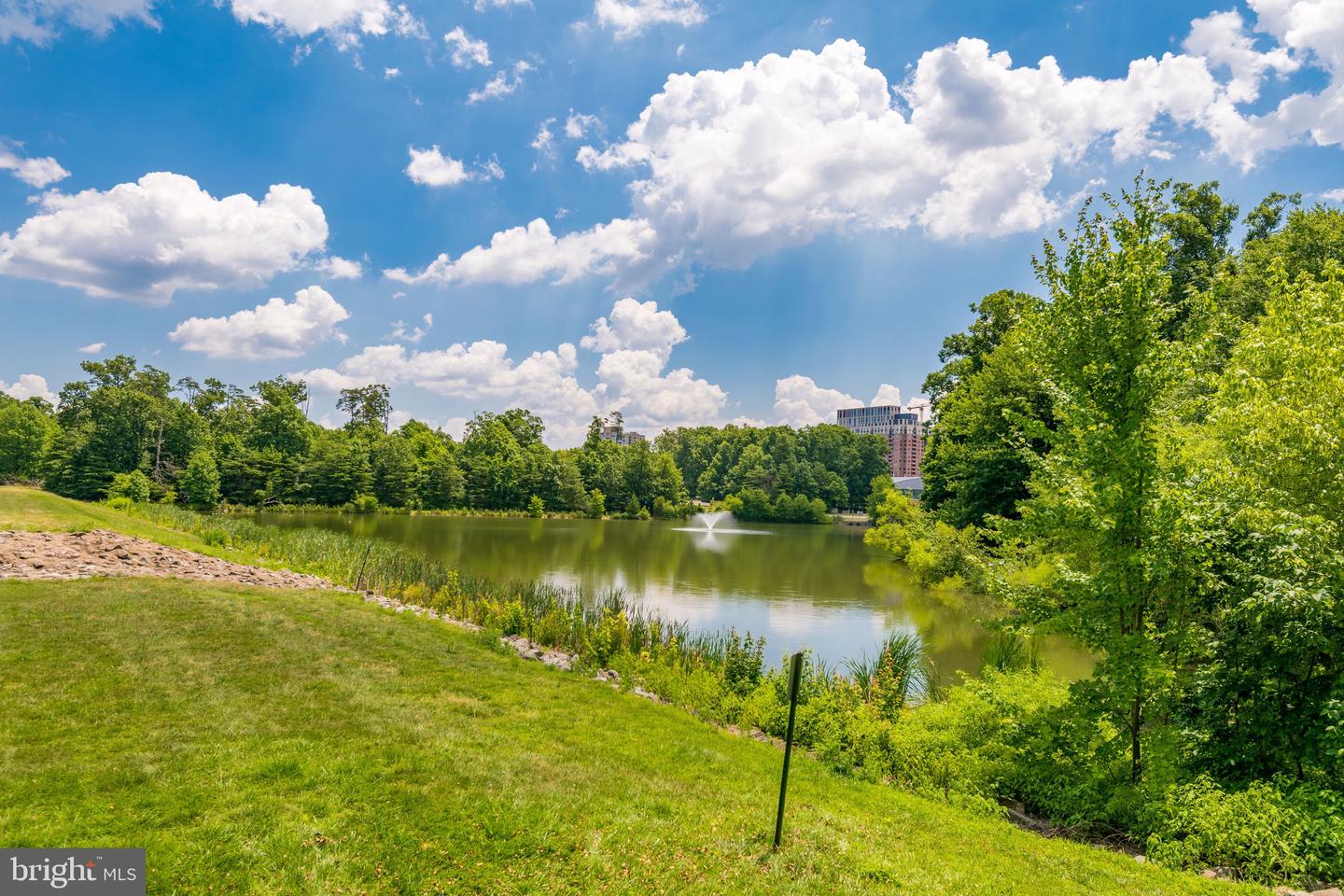 1712 LAKE SHORE CREST DR #14, RESTON, Virginia 20190, 1 Bedroom Bedrooms, ,1 BathroomBathrooms,Residential,For sale,1712 LAKE SHORE CREST DR #14,VAFX2256712 MLS # VAFX2256712