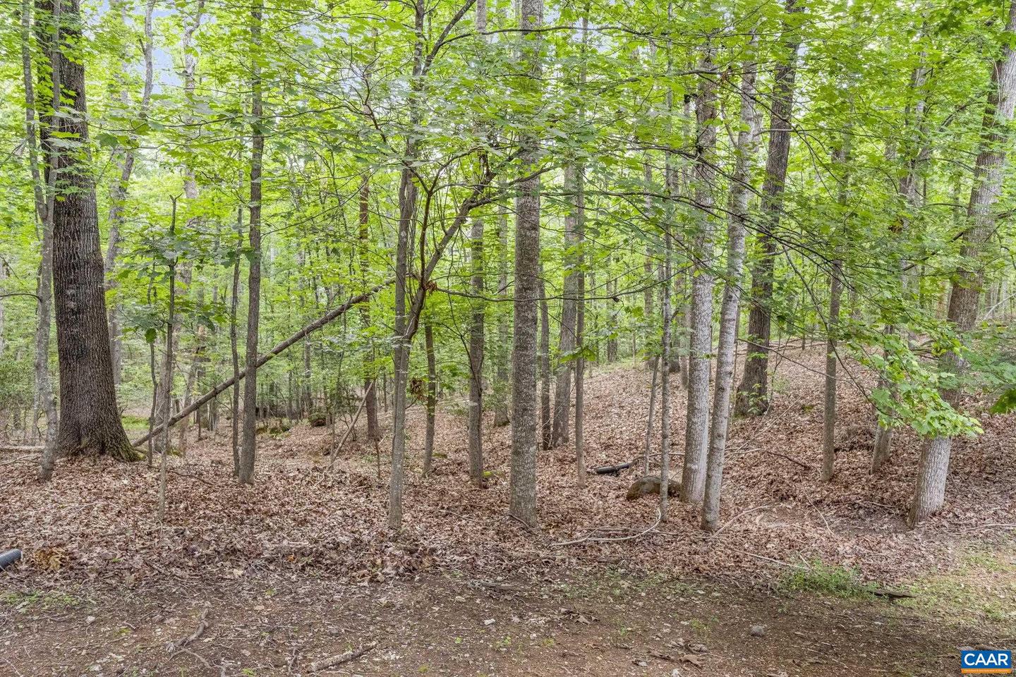 12 CLIFTWOOD RD, PALMYRA, Virginia 22963, 5 Bedrooms Bedrooms, ,3 BathroomsBathrooms,Residential,For sale,12 CLIFTWOOD RD,666980 MLS # 666980