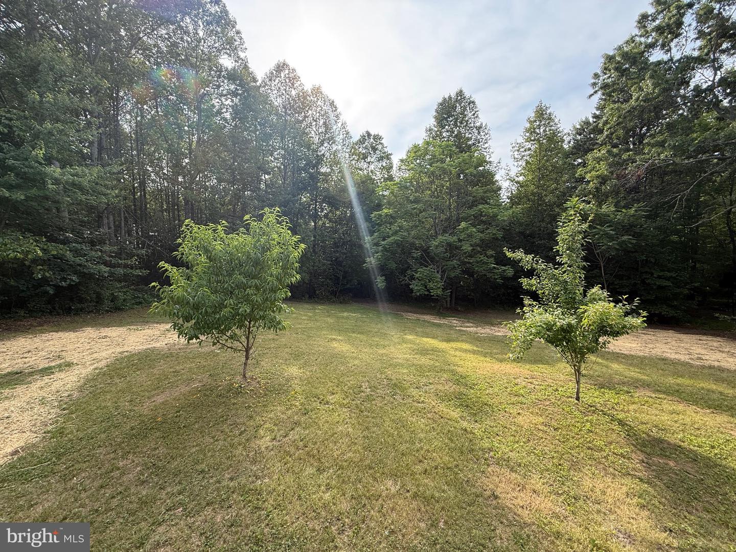 319 CHOPPING RD, MINERAL, Virginia 23117, 3 Bedrooms Bedrooms, ,2 BathroomsBathrooms,Residential,For sale,319 CHOPPING RD,VALA2008302 MLS # VALA2008302