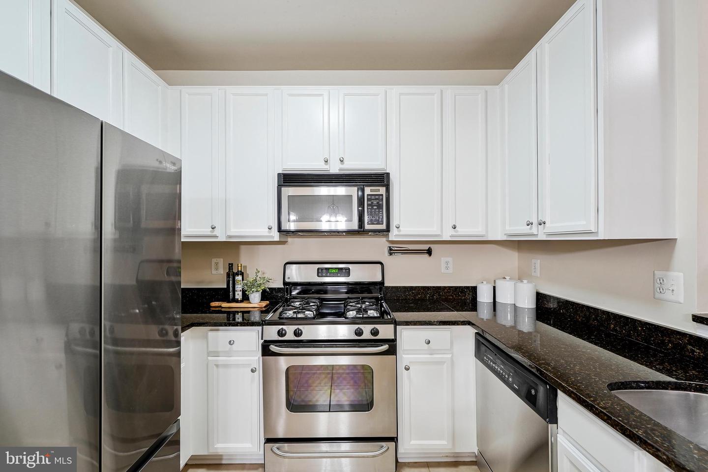 1505 N POINT DR #203, RESTON, Virginia 20194, 2 Bedrooms Bedrooms, ,2 BathroomsBathrooms,Residential,For sale,1505 N POINT DR #203,VAFX2243884 MLS # VAFX2243884
