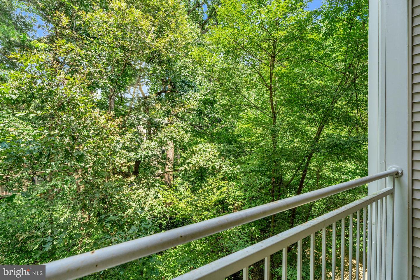 1505 N POINT DR #203, RESTON, Virginia 20194, 2 Bedrooms Bedrooms, ,2 BathroomsBathrooms,Residential,For sale,1505 N POINT DR #203,VAFX2243884 MLS # VAFX2243884