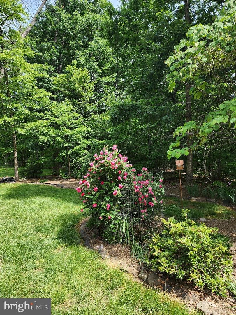 20561 WOODCOCK CT, LEESBURG, Virginia 20175, 4 Bedrooms Bedrooms, ,3 BathroomsBathrooms,Residential,For sale,20561 WOODCOCK CT,VALO2101212 MLS # VALO2101212