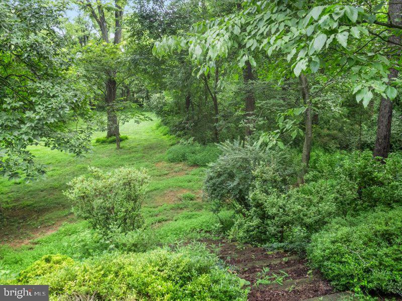 247 MCGUIRE RD, WINCHESTER, Virginia 22603, 4 Bedrooms Bedrooms, ,2 BathroomsBathrooms,Residential,For sale,247 MCGUIRE RD,VAFV2035358 MLS # VAFV2035358