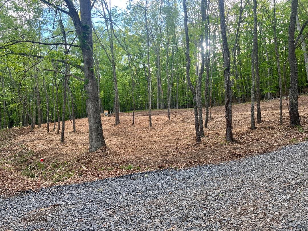 0 WESTMINISTER DR, MILLBORO, Virginia 24460, ,Land,0 WESTMINISTER DR,667048 MLS # 667048