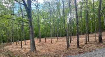 0 WESTMINISTER DR, MILLBORO, Virginia 24460, ,Land,0 WESTMINISTER DR,667048 MLS # 667048