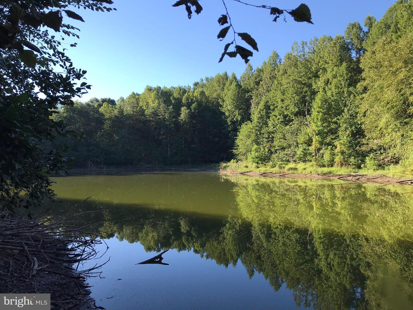 TBD RICEVILLE ROAD #LOT 1, JAVA, Virginia 24565, ,Land,For sale,TBD RICEVILLE ROAD #LOT 1,VAPI2000090 MLS # VAPI2000090
