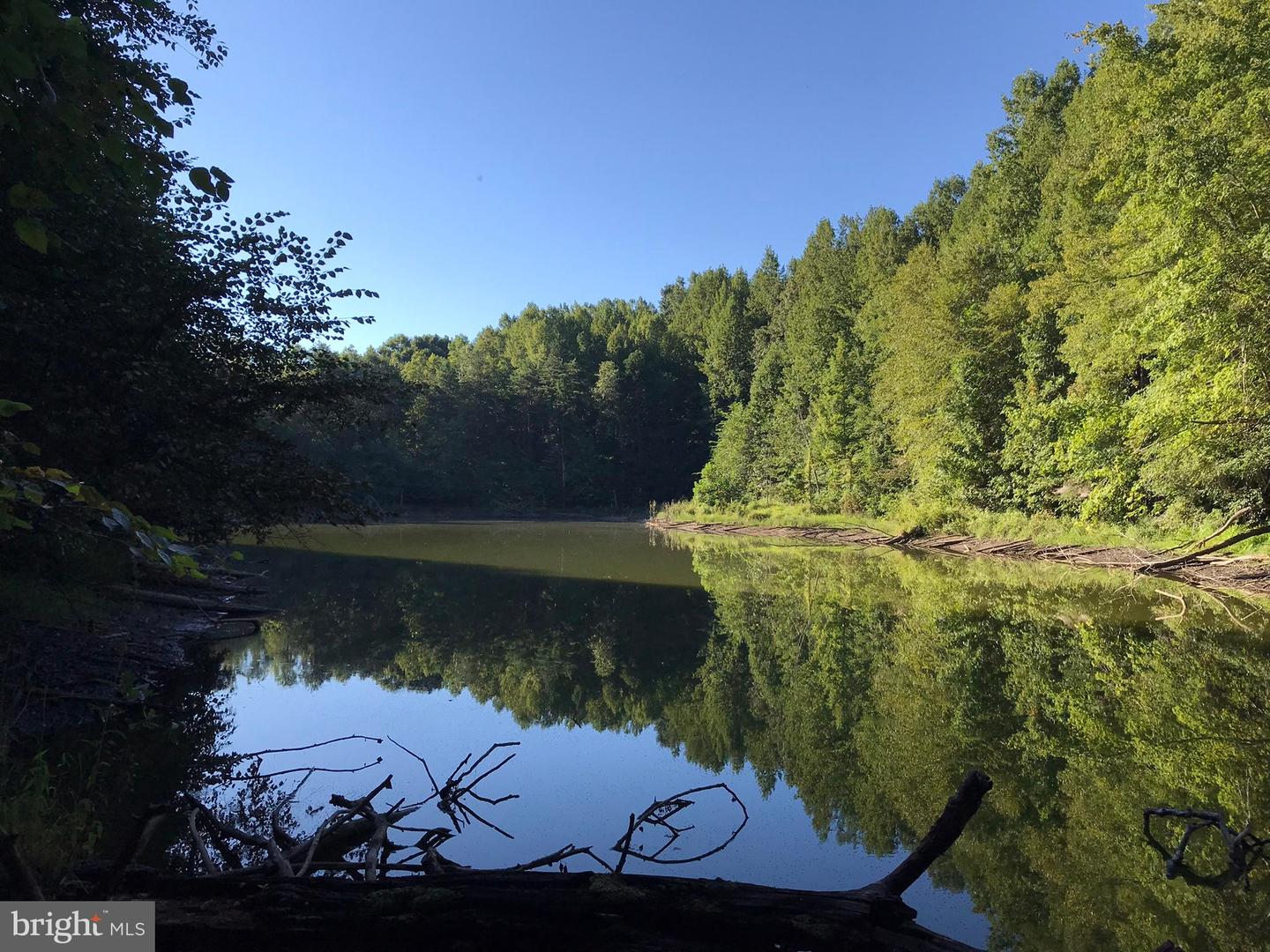 TBD RICEVILLE ROAD #LOT 1, JAVA, Virginia 24565, ,Land,For sale,TBD RICEVILLE ROAD #LOT 1,VAPI2000090 MLS # VAPI2000090