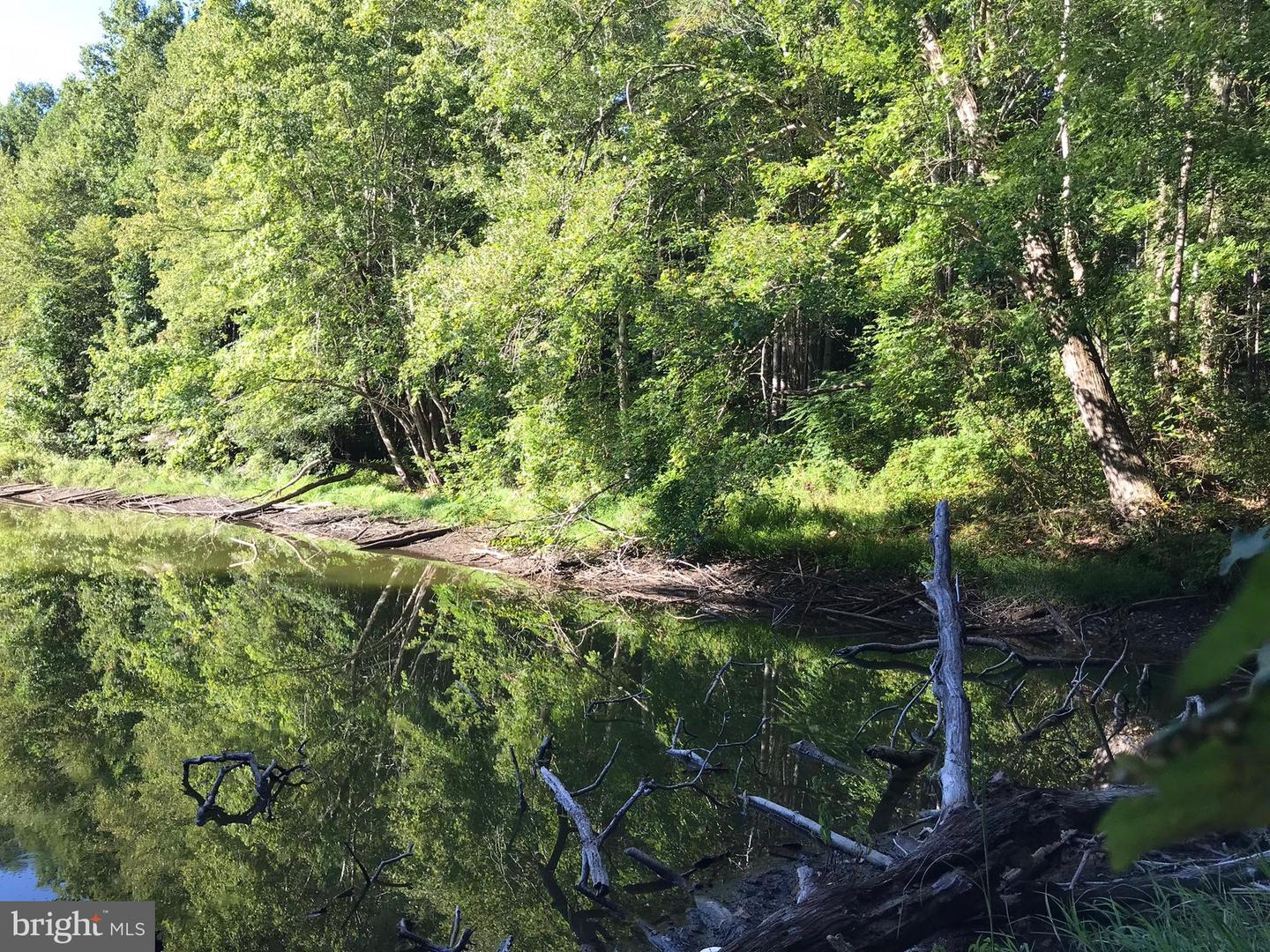TBD RICEVILLE ROAD #LOT 1, JAVA, Virginia 24565, ,Land,For sale,TBD RICEVILLE ROAD #LOT 1,VAPI2000090 MLS # VAPI2000090