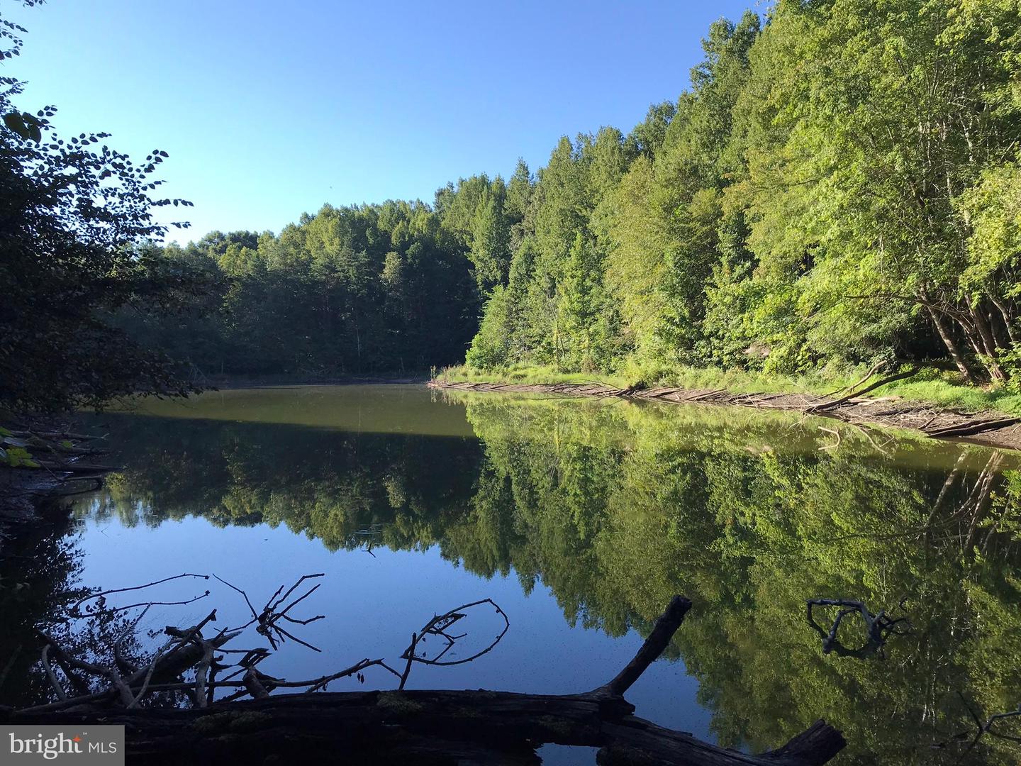 TBD RICEVILLE ROAD #LOT 1, JAVA, Virginia 24565, ,Land,For sale,TBD RICEVILLE ROAD #LOT 1,VAPI2000090 MLS # VAPI2000090