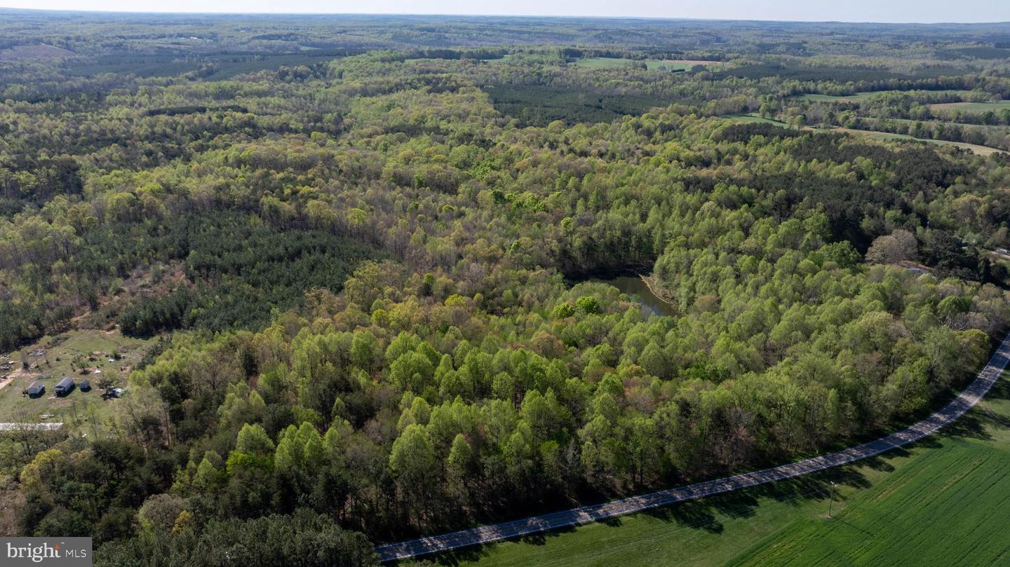 TBD RICEVILLE ROAD #LOT 1, JAVA, Virginia 24565, ,Land,For sale,TBD RICEVILLE ROAD #LOT 1,VAPI2000090 MLS # VAPI2000090