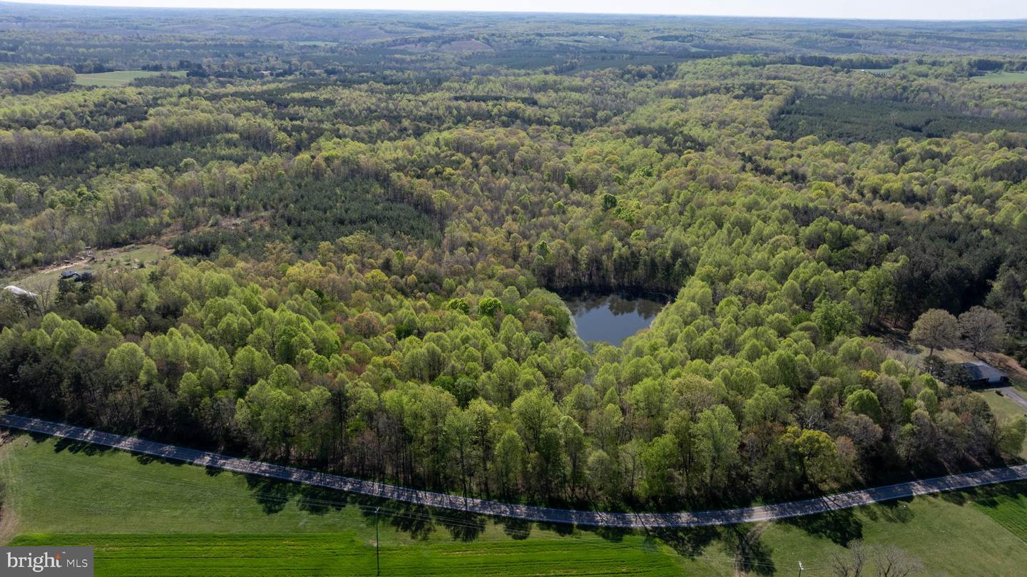 TBD RICEVILLE ROAD #LOT 1, JAVA, Virginia 24565, ,Land,For sale,TBD RICEVILLE ROAD #LOT 1,VAPI2000090 MLS # VAPI2000090