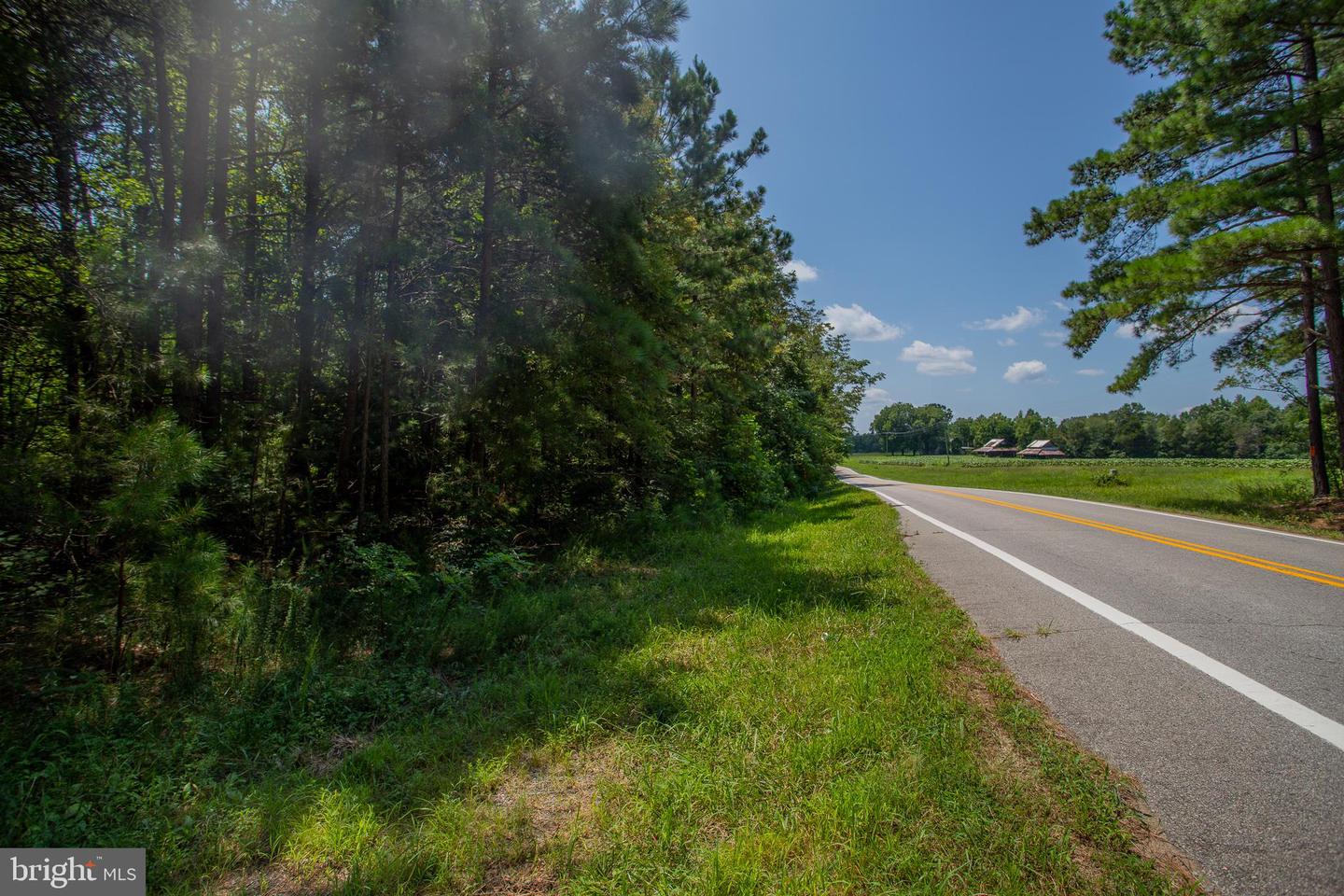 TBD RICEVILLE ROAD #LOT 1, JAVA, Virginia 24565, ,Land,For sale,TBD RICEVILLE ROAD #LOT 1,VAPI2000090 MLS # VAPI2000090