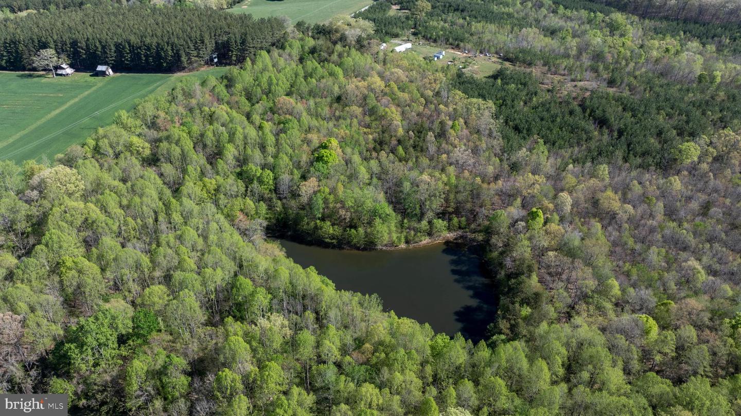 TBD RICEVILLE ROAD #LOT 1, JAVA, Virginia 24565, ,Land,For sale,TBD RICEVILLE ROAD #LOT 1,VAPI2000090 MLS # VAPI2000090