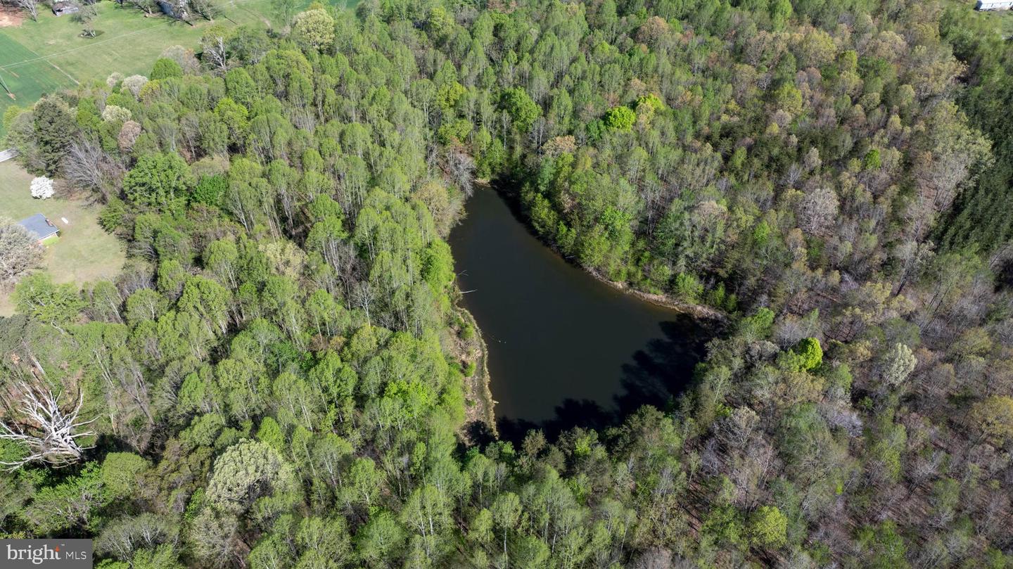 TBD RICEVILLE ROAD #LOT 1, JAVA, Virginia 24565, ,Land,For sale,TBD RICEVILLE ROAD #LOT 1,VAPI2000090 MLS # VAPI2000090