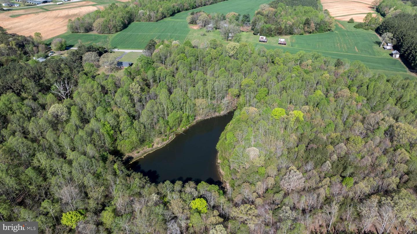 TBD RICEVILLE ROAD #LOT 1, JAVA, Virginia 24565, ,Land,For sale,TBD RICEVILLE ROAD #LOT 1,VAPI2000090 MLS # VAPI2000090