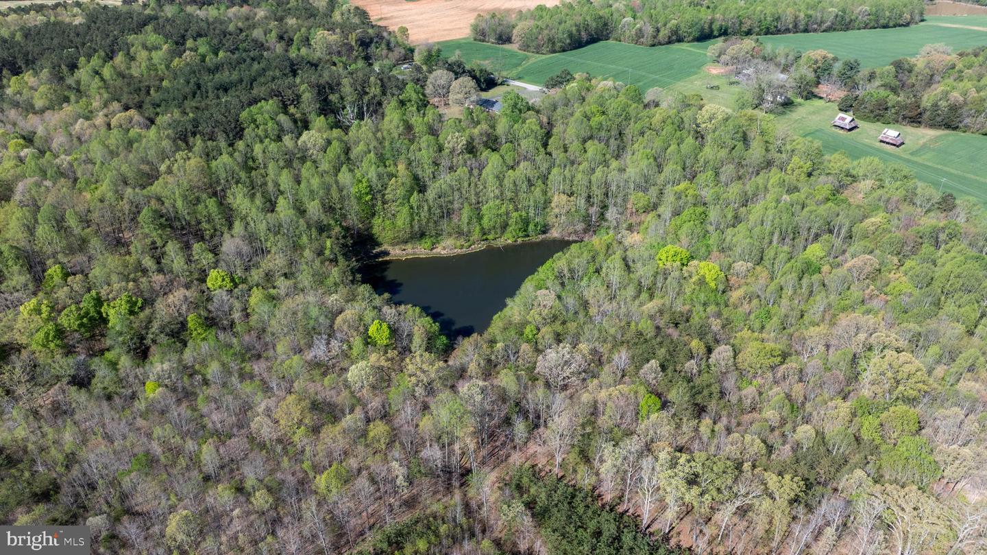 TBD RICEVILLE ROAD #LOT 1, JAVA, Virginia 24565, ,Land,For sale,TBD RICEVILLE ROAD #LOT 1,VAPI2000090 MLS # VAPI2000090
