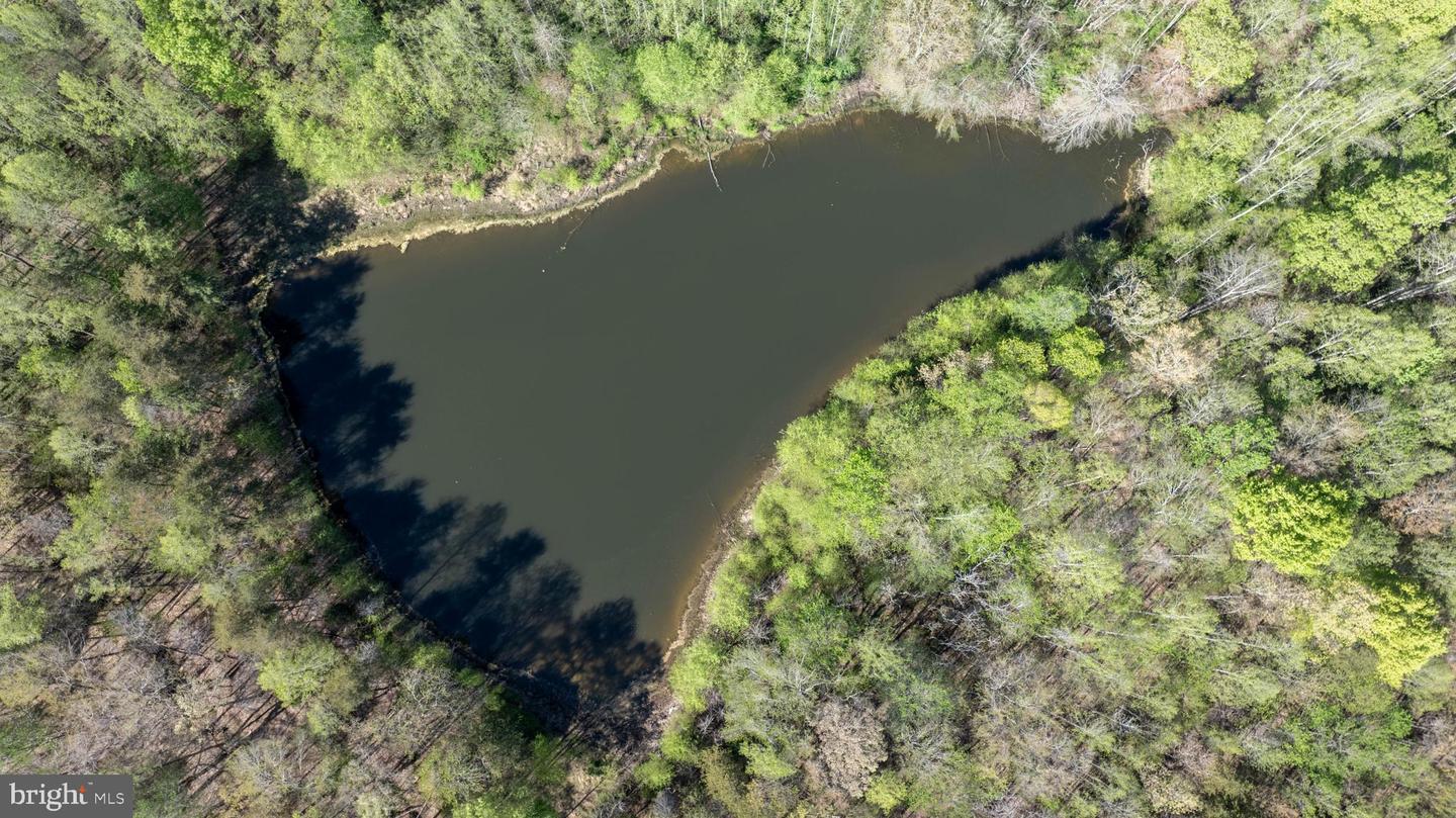 TBD RICEVILLE ROAD #LOT 1, JAVA, Virginia 24565, ,Land,For sale,TBD RICEVILLE ROAD #LOT 1,VAPI2000090 MLS # VAPI2000090