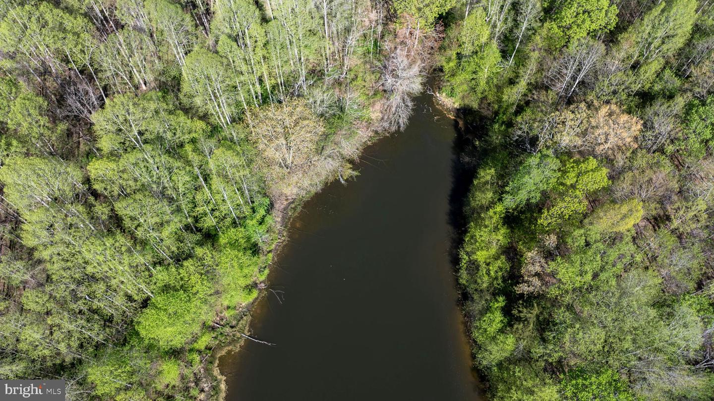 TBD RICEVILLE ROAD #LOT 1, JAVA, Virginia 24565, ,Land,For sale,TBD RICEVILLE ROAD #LOT 1,VAPI2000090 MLS # VAPI2000090