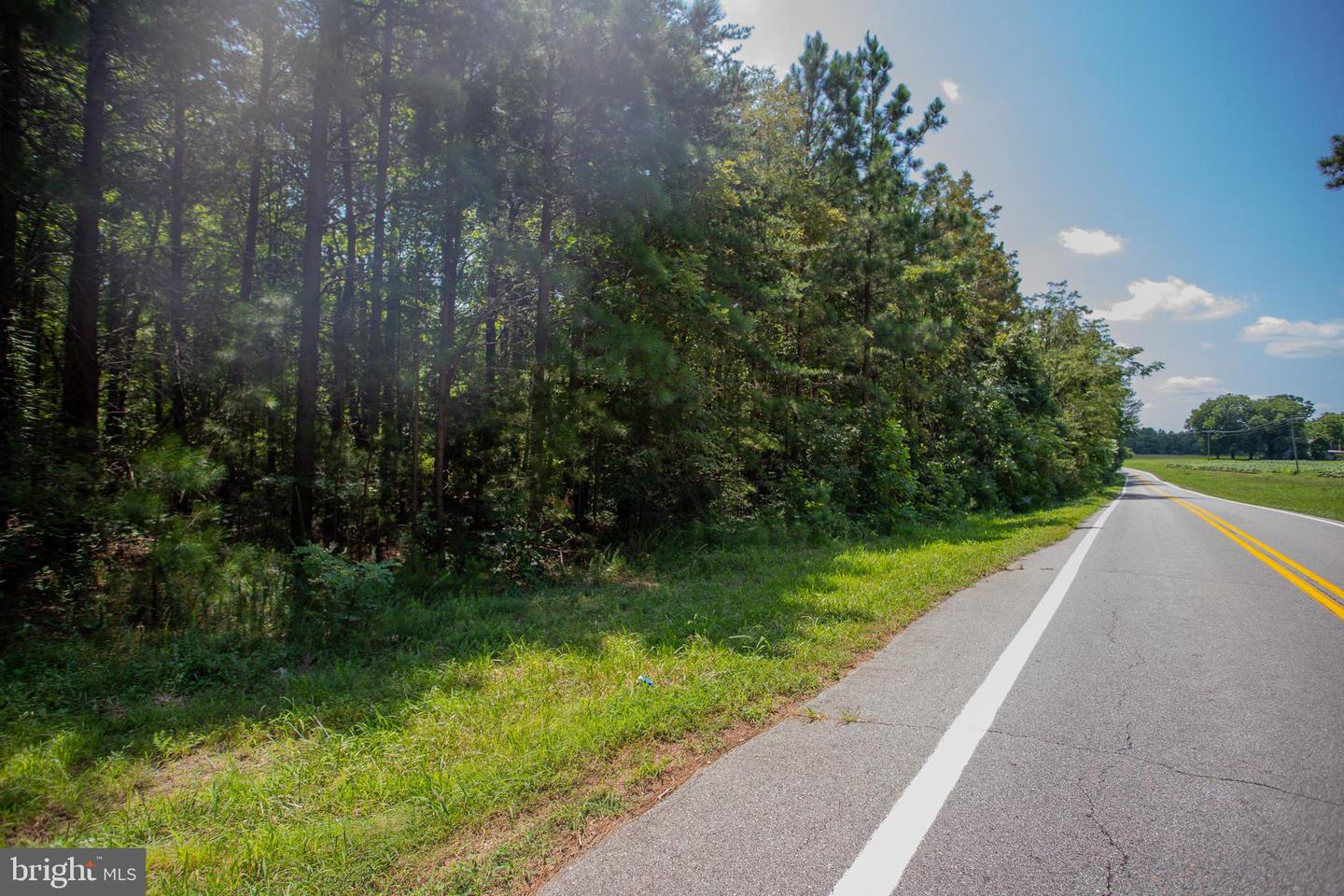 TBD RICEVILLE ROAD #LOT 1, JAVA, Virginia 24565, ,Land,For sale,TBD RICEVILLE ROAD #LOT 1,VAPI2000090 MLS # VAPI2000090