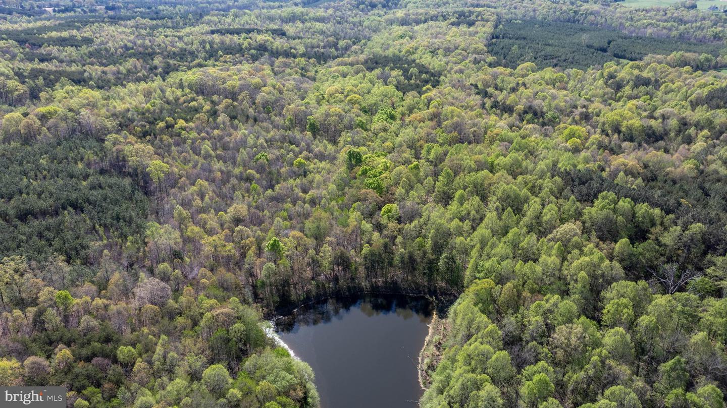 TBD RICEVILLE ROAD #LOT 1, JAVA, Virginia 24565, ,Land,For sale,TBD RICEVILLE ROAD #LOT 1,VAPI2000090 MLS # VAPI2000090