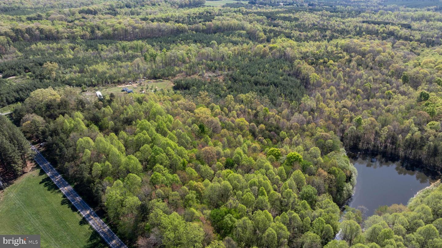 TBD RICEVILLE ROAD #LOT 1, JAVA, Virginia 24565, ,Land,For sale,TBD RICEVILLE ROAD #LOT 1,VAPI2000090 MLS # VAPI2000090