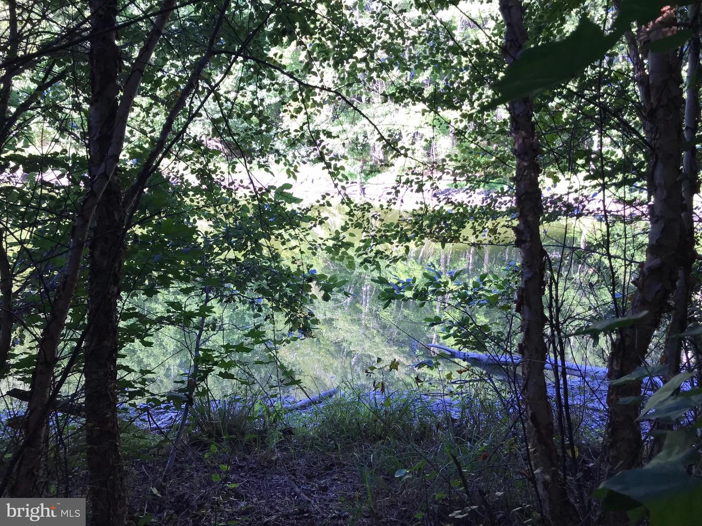 TBD RICEVILLE ROAD #LOT 1, JAVA, Virginia 24565, ,Land,For sale,TBD RICEVILLE ROAD #LOT 1,VAPI2000090 MLS # VAPI2000090