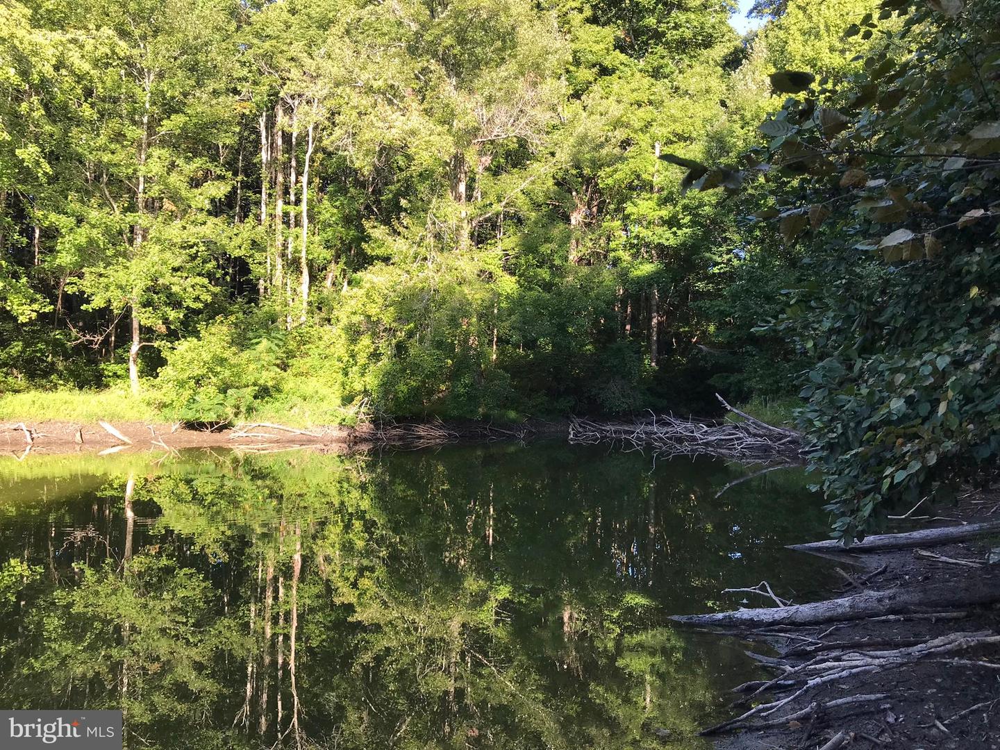 TBD RICEVILLE ROAD #LOT 1, JAVA, Virginia 24565, ,Land,For sale,TBD RICEVILLE ROAD #LOT 1,VAPI2000090 MLS # VAPI2000090