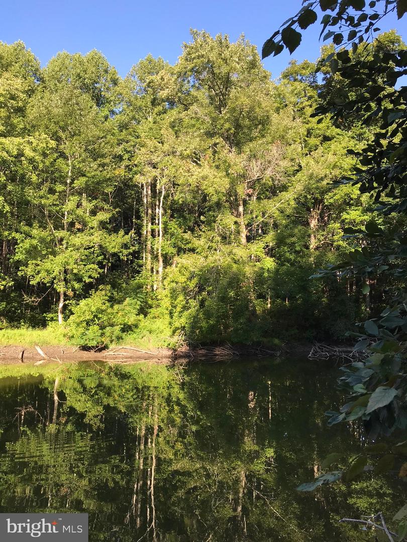 TBD RICEVILLE ROAD #LOT 1, JAVA, Virginia 24565, ,Land,For sale,TBD RICEVILLE ROAD #LOT 1,VAPI2000090 MLS # VAPI2000090