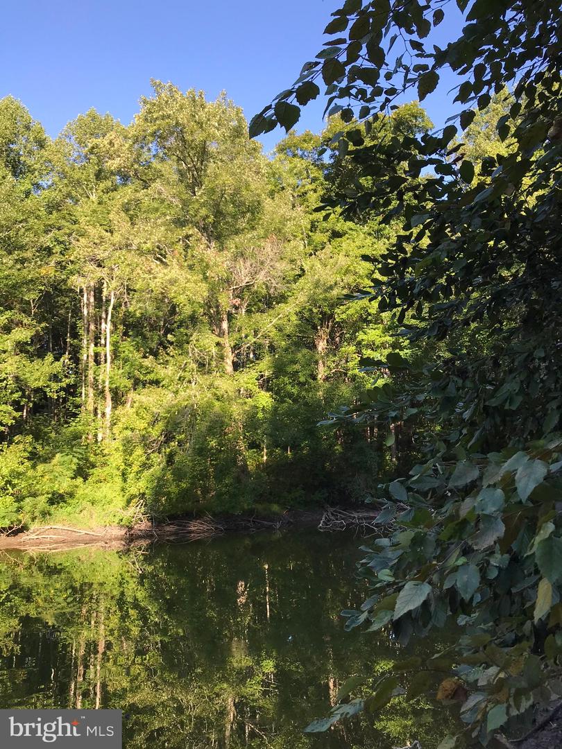 TBD RICEVILLE ROAD #LOT 1, JAVA, Virginia 24565, ,Land,For sale,TBD RICEVILLE ROAD #LOT 1,VAPI2000090 MLS # VAPI2000090