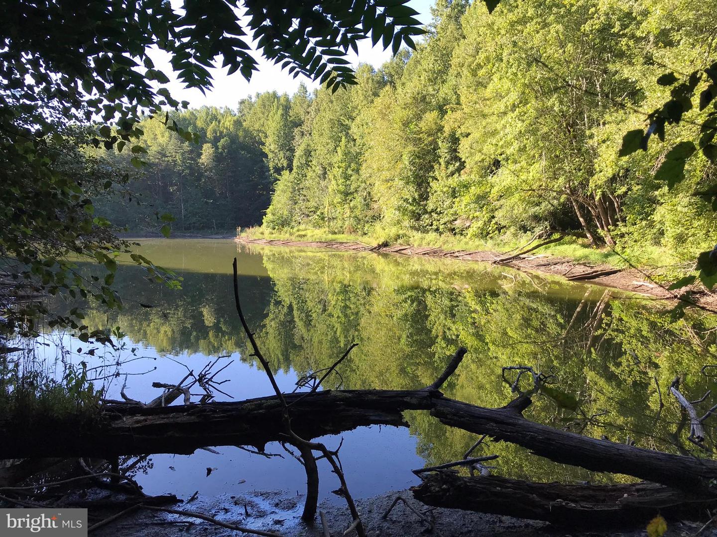 TBD RICEVILLE ROAD #LOT 1, JAVA, Virginia 24565, ,Land,For sale,TBD RICEVILLE ROAD #LOT 1,VAPI2000090 MLS # VAPI2000090