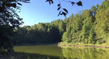 TBD RICEVILLE ROAD #LOT 1, JAVA, Virginia 24565, ,Land,For sale,TBD RICEVILLE ROAD #LOT 1,VAPI2000090 MLS # VAPI2000090