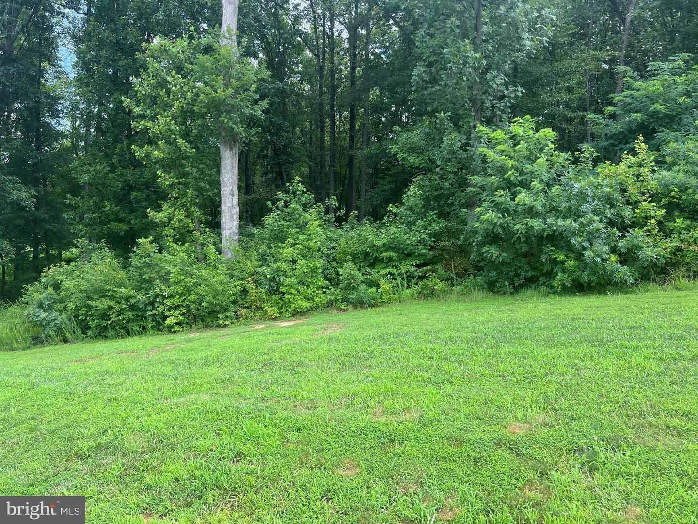 FAIRVIEW DRIVE, MINERAL, Virginia 23117, ,Land,For sale,FAIRVIEW DRIVE,VALA2008308 MLS # VALA2008308