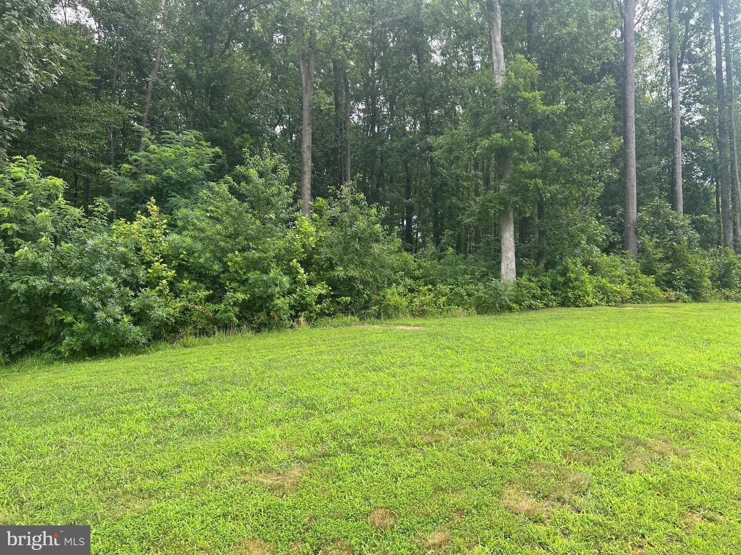 FAIRVIEW DRIVE, MINERAL, Virginia 23117, ,Land,For sale,FAIRVIEW DRIVE,VALA2008308 MLS # VALA2008308