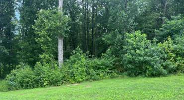FAIRVIEW DRIVE, MINERAL, Virginia 23117, ,Land,For sale,FAIRVIEW DRIVE,VALA2008308 MLS # VALA2008308