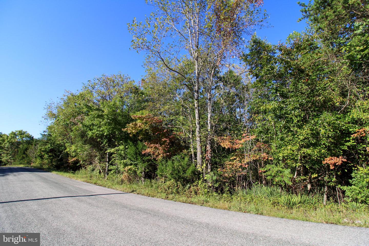 TBD ROARK MILL ROAD #LOT 3, HURT, Virginia 24563, ,Land,For sale,TBD ROARK MILL ROAD #LOT 3,VAPI2000092 MLS # VAPI2000092