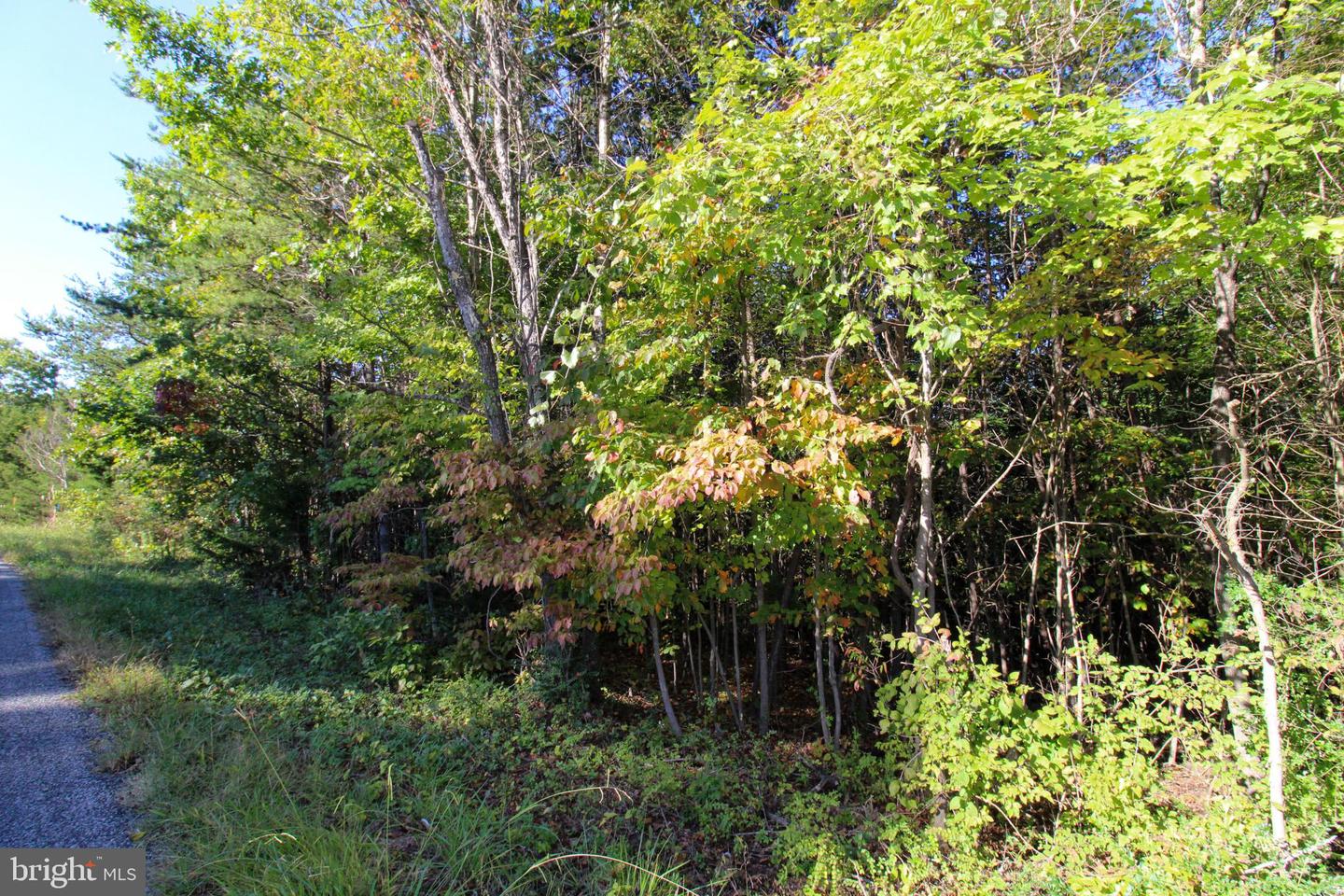 TBD ROARK MILL ROAD #LOT 3, HURT, Virginia 24563, ,Land,For sale,TBD ROARK MILL ROAD #LOT 3,VAPI2000092 MLS # VAPI2000092