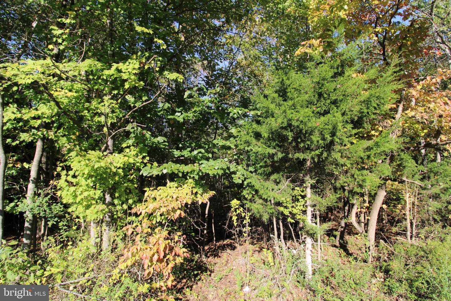 TBD ROARK MILL ROAD #LOT 3, HURT, Virginia 24563, ,Land,For sale,TBD ROARK MILL ROAD #LOT 3,VAPI2000092 MLS # VAPI2000092