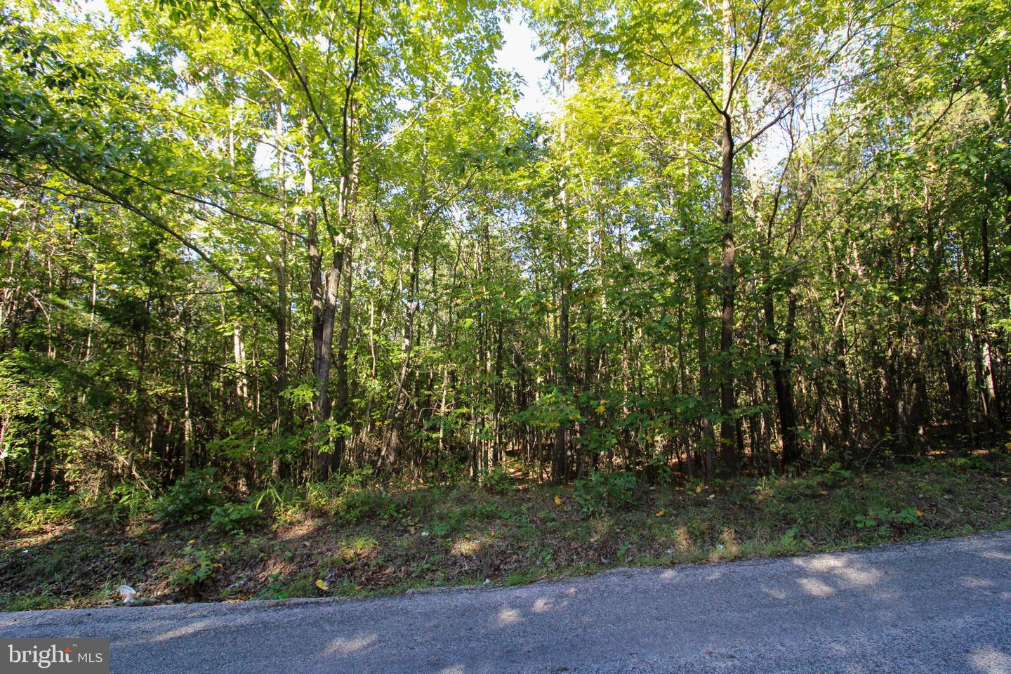 TBD ROARK MILL ROAD #LOT 3, HURT, Virginia 24563, ,Land,For sale,TBD ROARK MILL ROAD #LOT 3,VAPI2000092 MLS # VAPI2000092