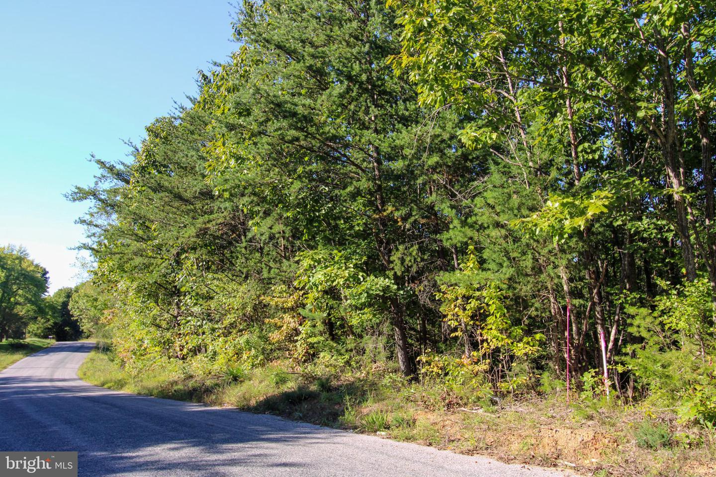 TBD ROARK MILL ROAD #LOT 3, HURT, Virginia 24563, ,Land,For sale,TBD ROARK MILL ROAD #LOT 3,VAPI2000092 MLS # VAPI2000092