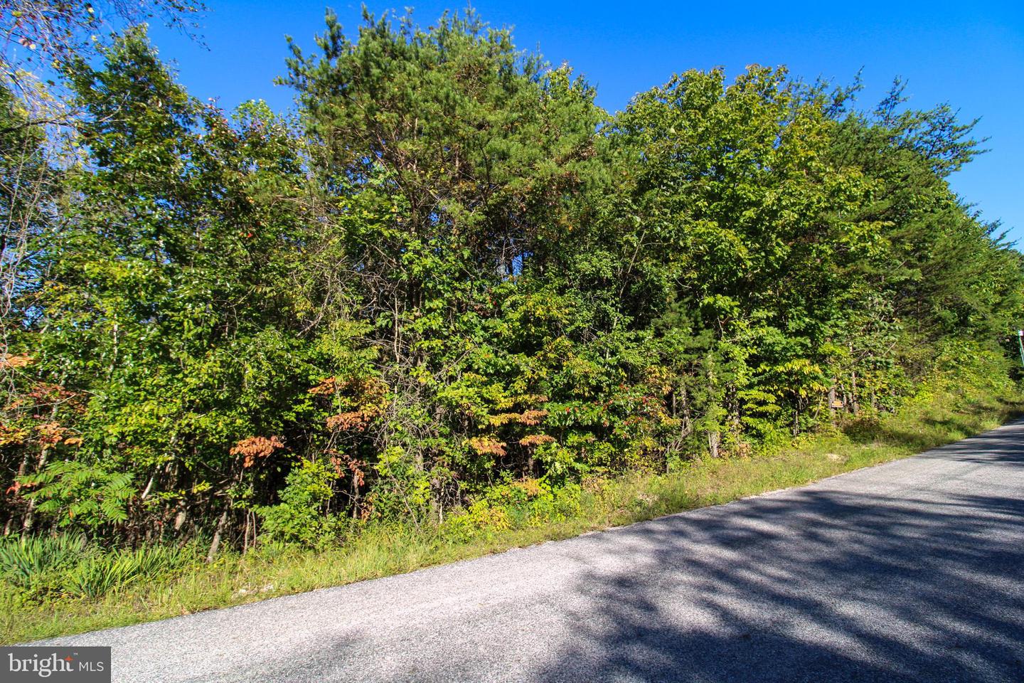 TBD ROARK MILL ROAD #LOT 3, HURT, Virginia 24563, ,Land,For sale,TBD ROARK MILL ROAD #LOT 3,VAPI2000092 MLS # VAPI2000092