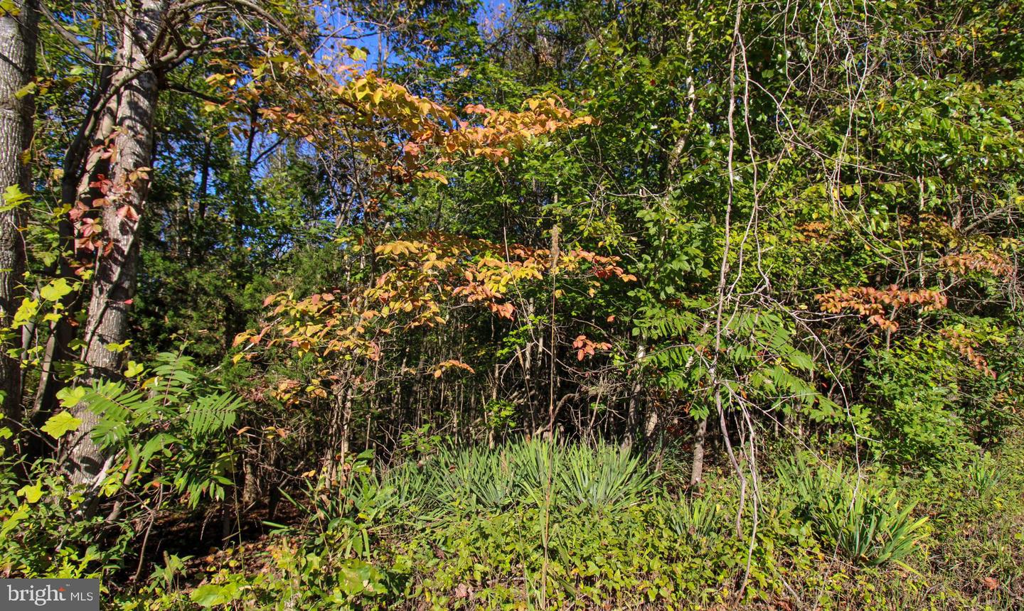 TBD ROARK MILL ROAD #LOT 3, HURT, Virginia 24563, ,Land,For sale,TBD ROARK MILL ROAD #LOT 3,VAPI2000092 MLS # VAPI2000092