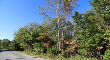 TBD ROARK MILL ROAD #LOT 3, HURT, Virginia 24563, ,Land,For sale,TBD ROARK MILL ROAD #LOT 3,VAPI2000092 MLS # VAPI2000092