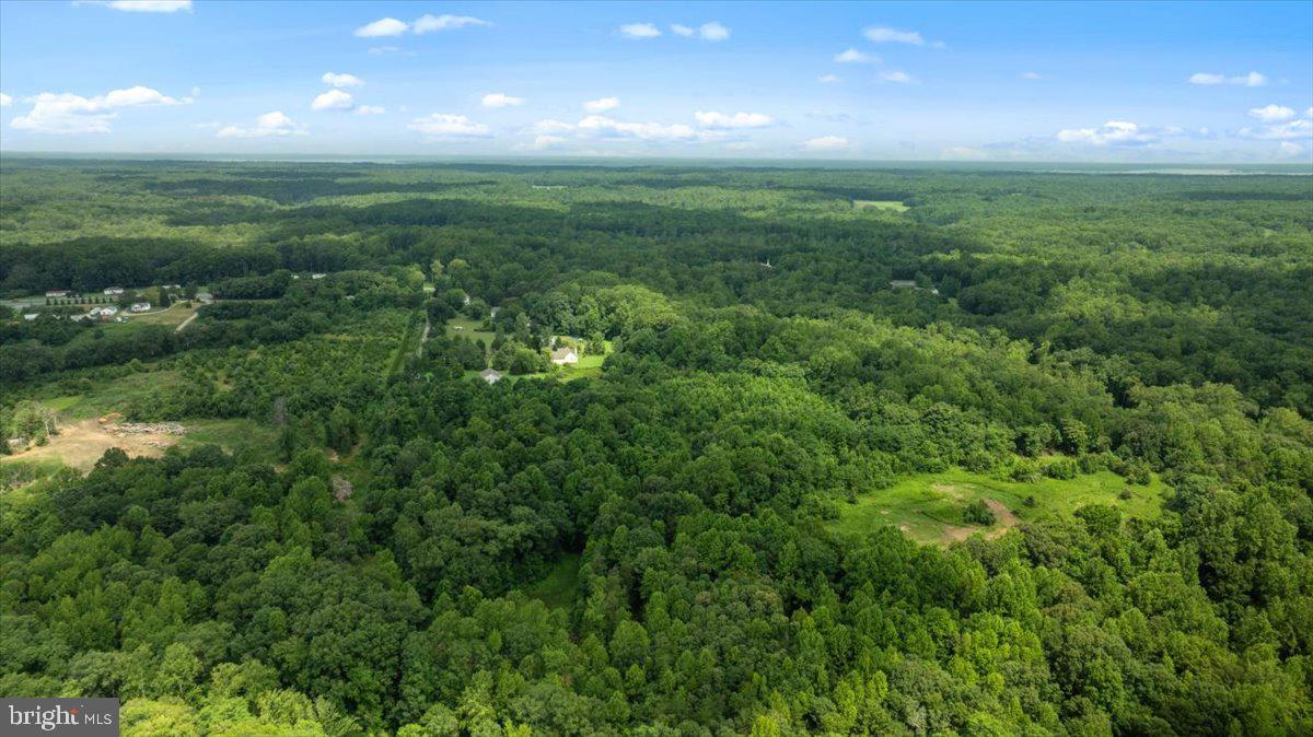 LOT E JONES PL, KING GEORGE, Virginia 22485, ,Land,For sale,LOT E JONES PL,VAKG2006738 MLS # VAKG2006738