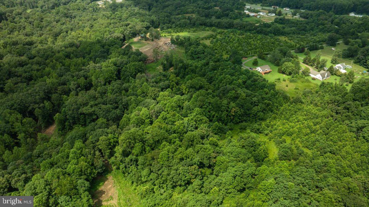 LOT E JONES PL, KING GEORGE, Virginia 22485, ,Land,For sale,LOT E JONES PL,VAKG2006738 MLS # VAKG2006738