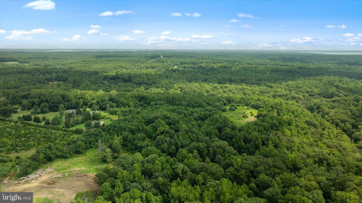 LOT E JONES PL, KING GEORGE, Virginia 22485, ,Land,For sale,LOT E JONES PL,VAKG2006738 MLS # VAKG2006738