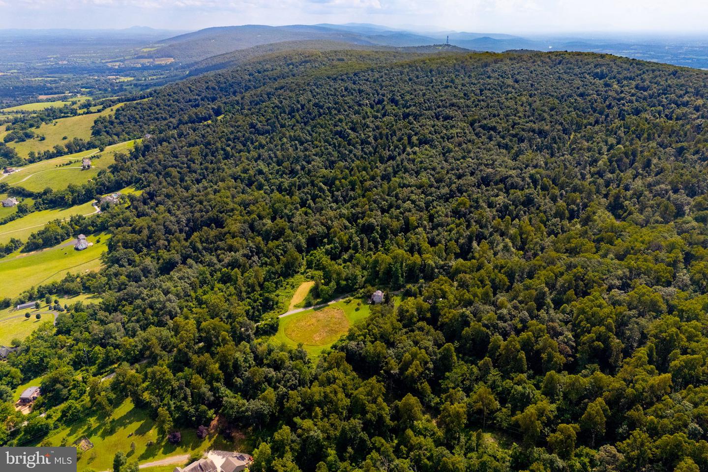 TREE CROPS LANE, ROUND HILL, Virginia 20141, ,Farm,For sale,TREE CROPS LANE,VALO2102978 MLS # VALO2102978