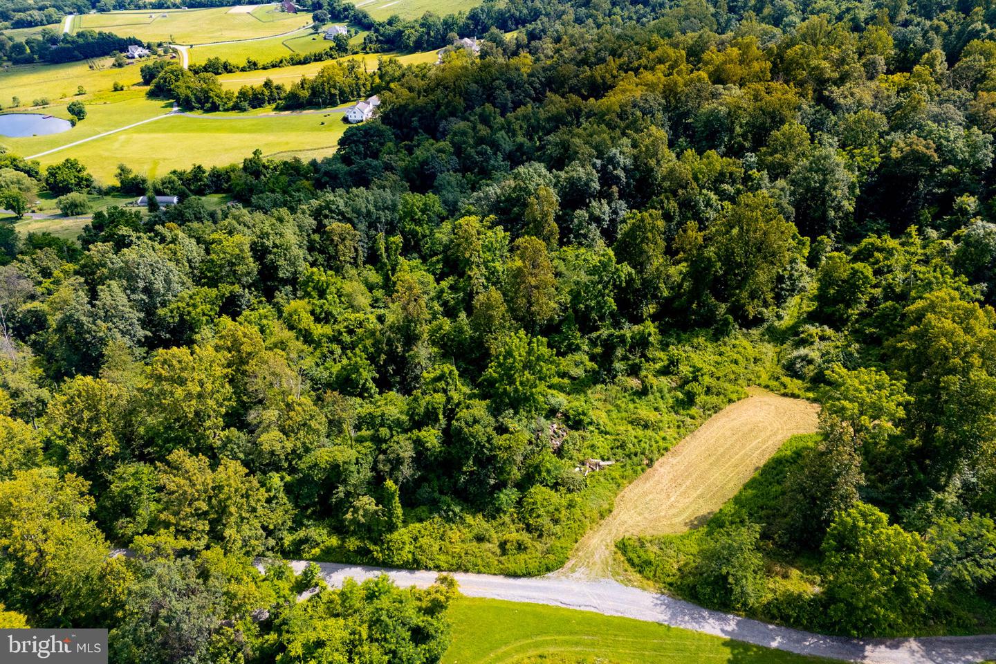 TREE CROPS LANE, ROUND HILL, Virginia 20141, ,Farm,For sale,TREE CROPS LANE,VALO2102978 MLS # VALO2102978