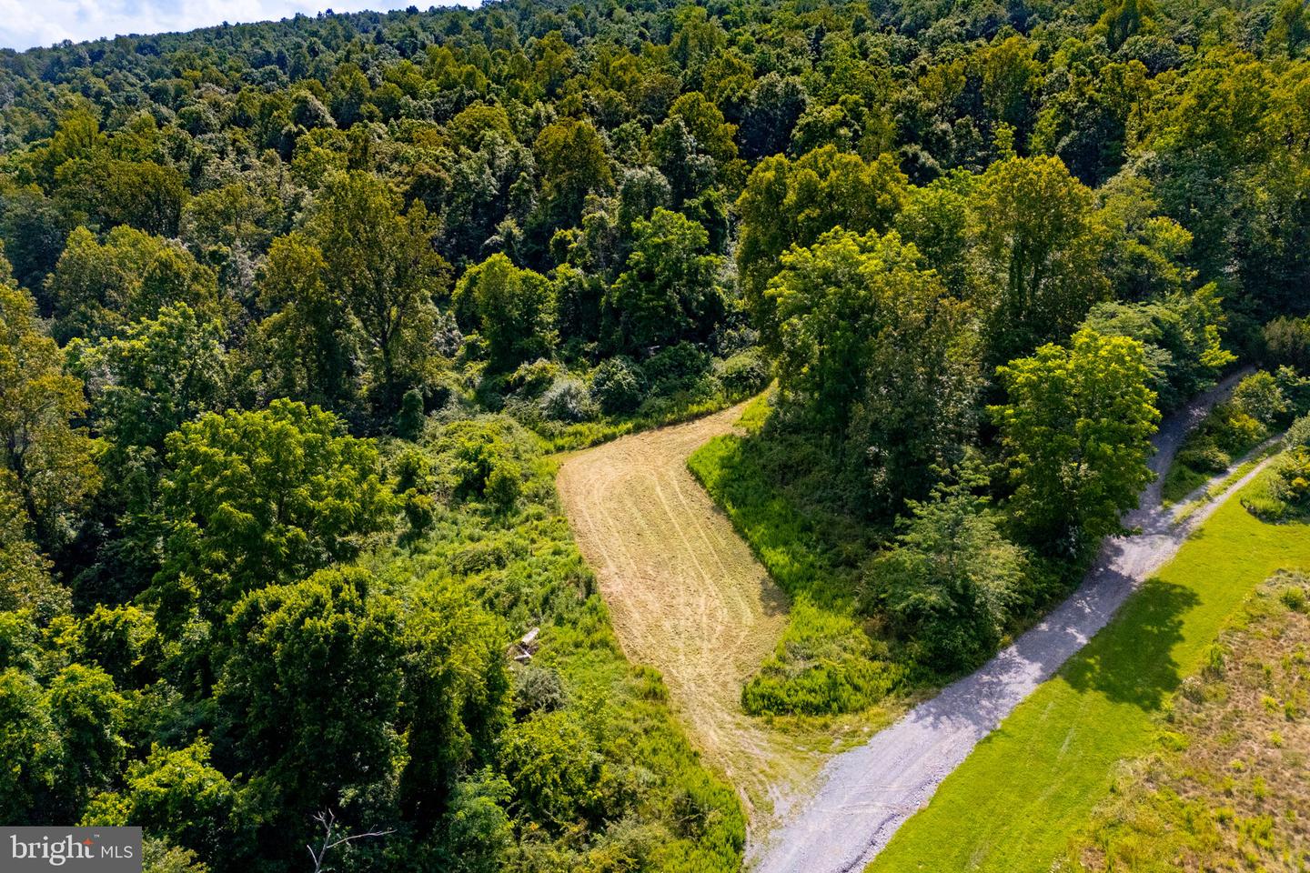 TREE CROPS LANE, ROUND HILL, Virginia 20141, ,Farm,For sale,TREE CROPS LANE,VALO2102978 MLS # VALO2102978